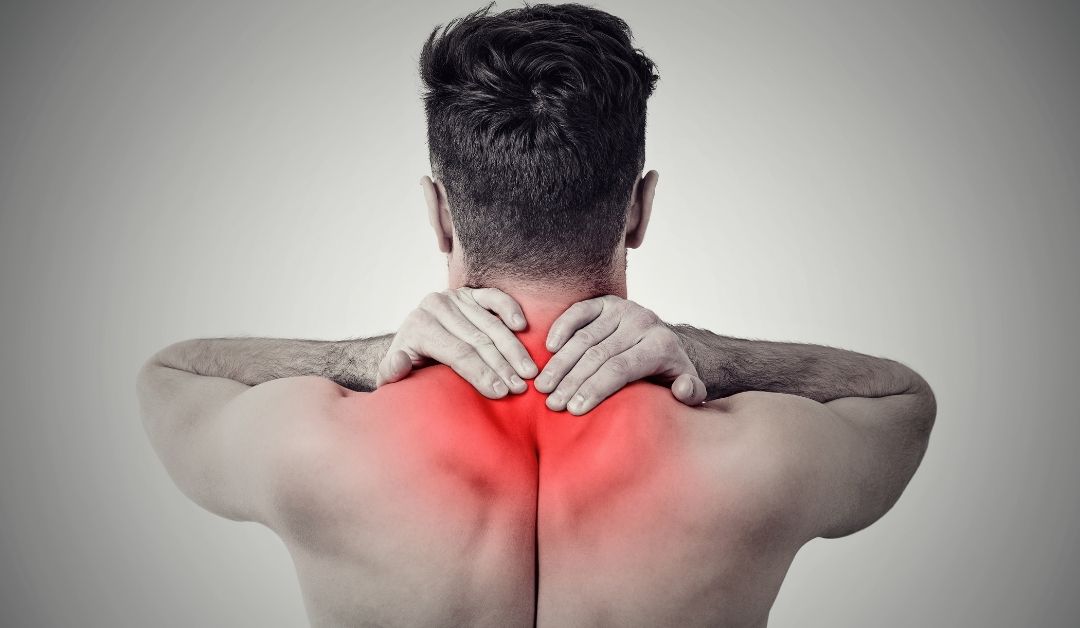 Neck & Posture Supports