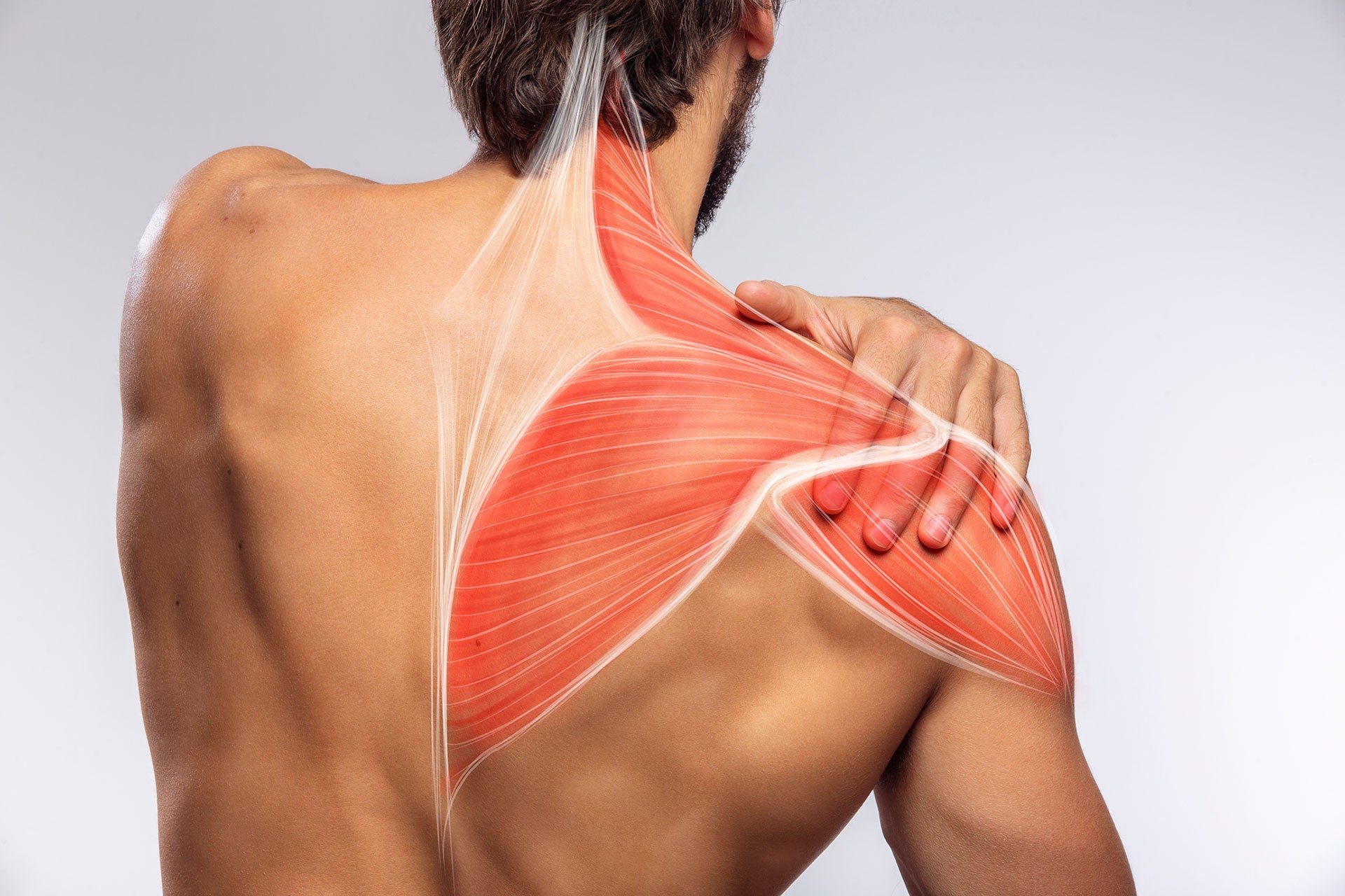 Shoulder Supports