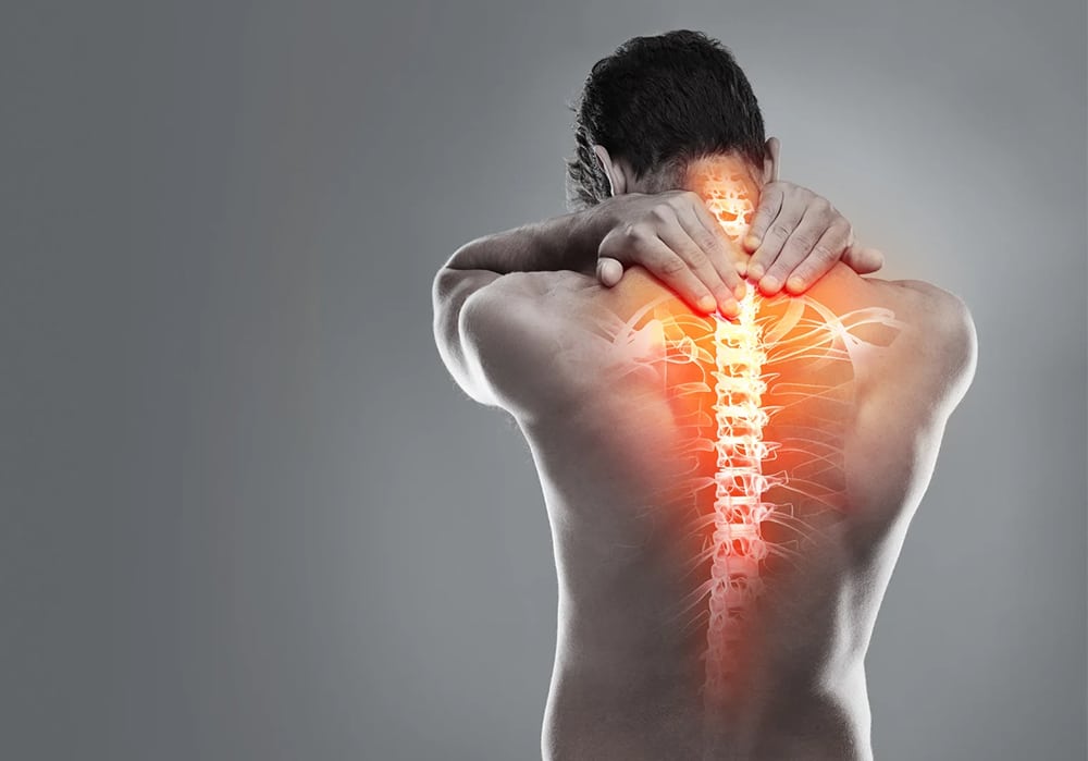 Back & Spine Supports