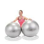 Gymnic Physio Ball Extra Large Burst Resistant Exercise Ball - rehabilitation and recovery product