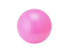 Fortress Pilates Ball – product image 2