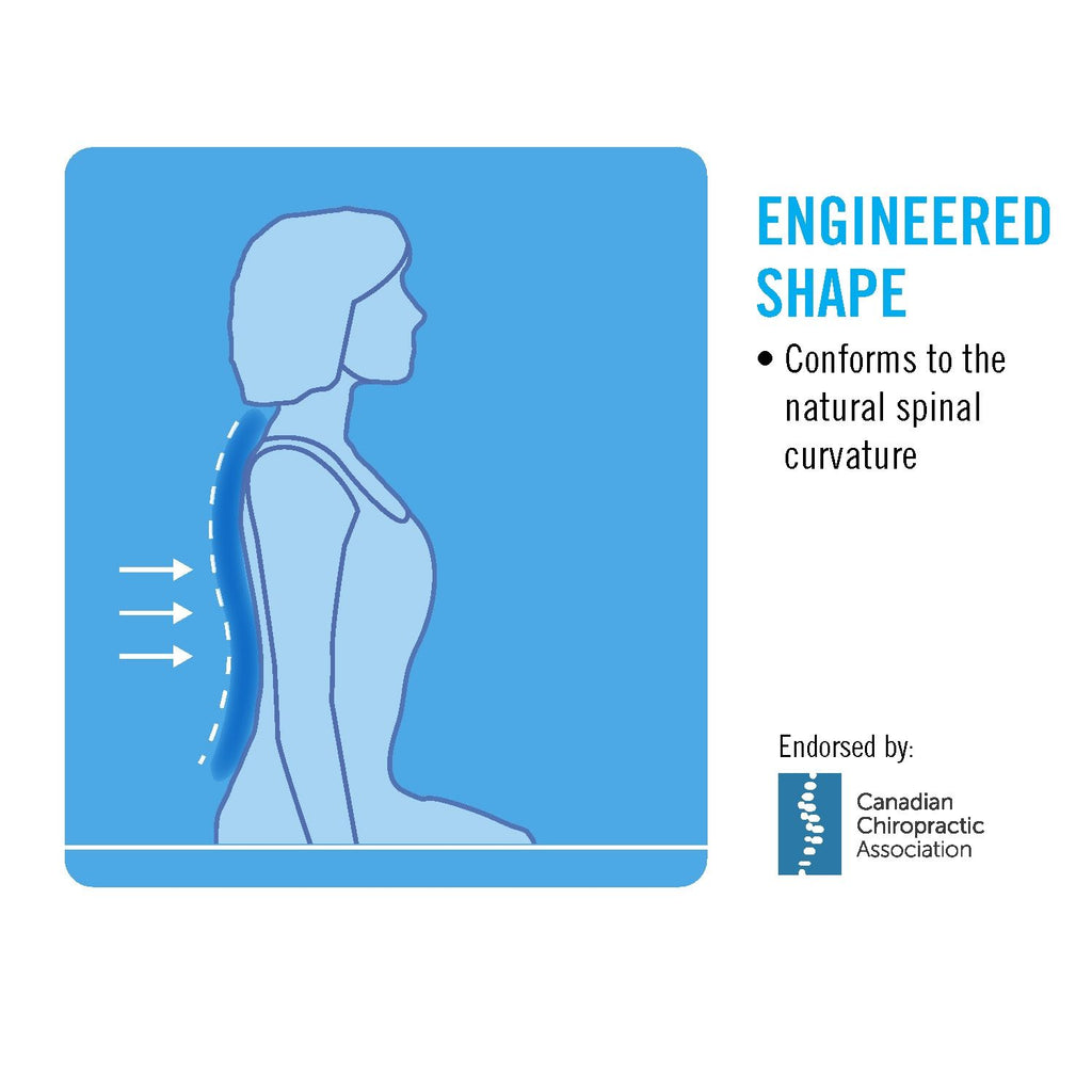 Obusforme Lowback Support Cushion – product image 12