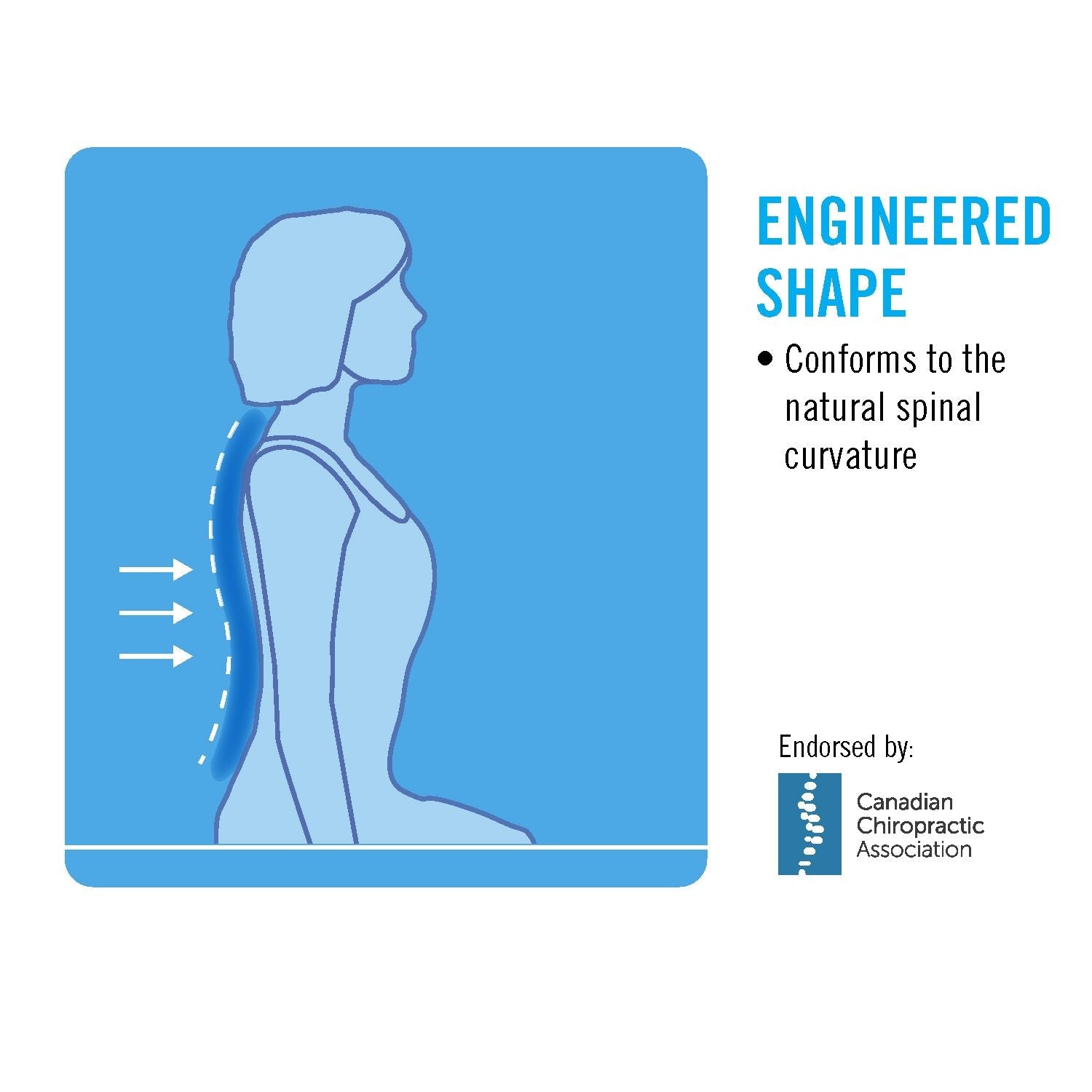 Obusforme Lowback Support Cushion – product image 12