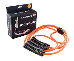 Sanctband Spidercord