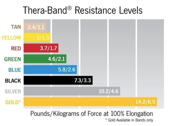 Thera-Band Latex Free Exercise Band
