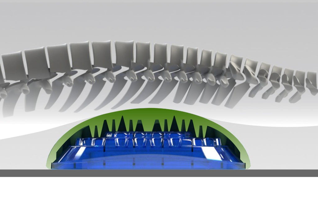 Bodystance Backpod – product image 4