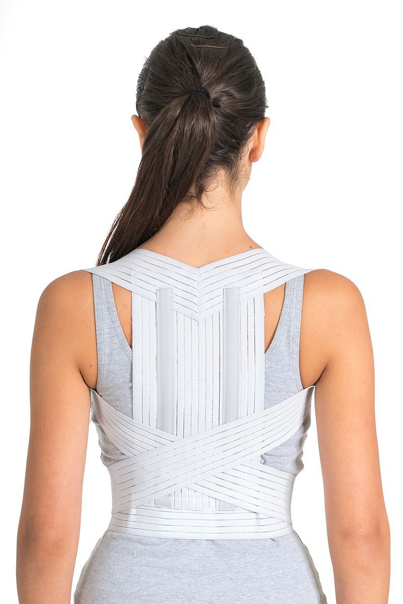 Ortholife Premium Posture Brace with Stays