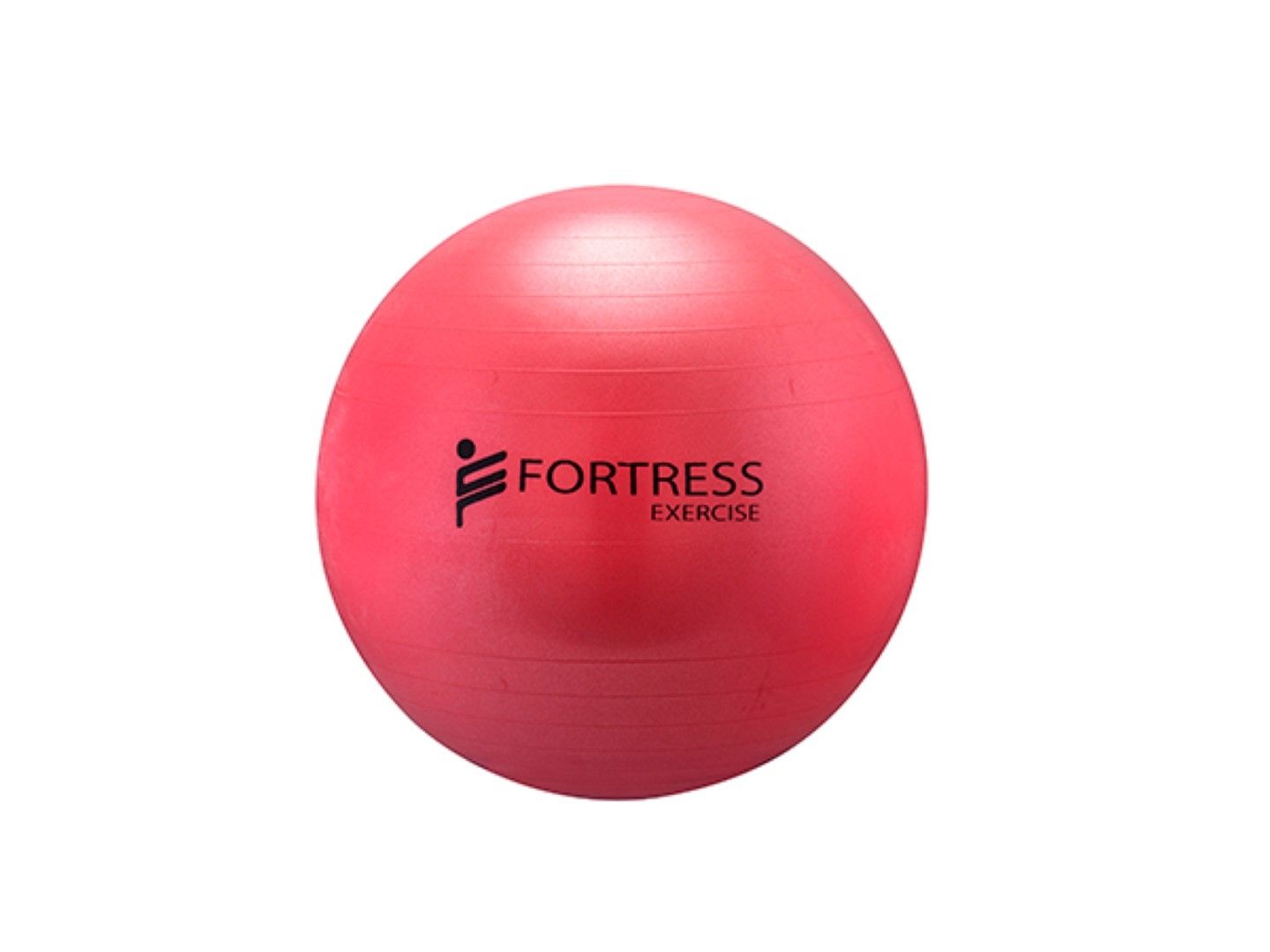 Fortress Rainbow Rehab Anti-Burst Gym / Fitness Balls – product image 12