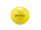 Fortress Rainbow Rehab Anti-Burst Gym / Fitness Balls – product image 15