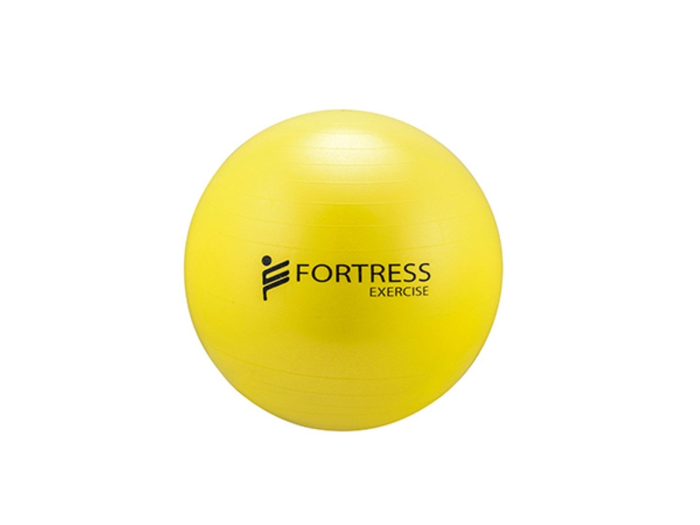 Fortress Rainbow Rehab Anti-Burst Gym / Fitness Balls – product image 15