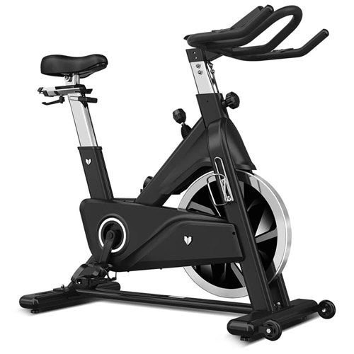 Lifespan Fitness SM-800 Commercial Magnetic Spin Bike