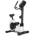 Lifespan Fitness EXC-100 commercial exercise bike