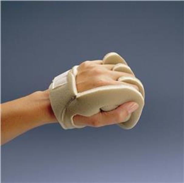 Palm Shield product view
