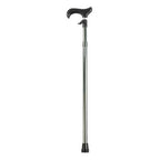 Rise Walking Stick