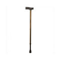 Days T-Handle Walking Stick – Bronze product view