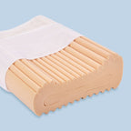 A100011100 p 1 Complete Sleeprrr Pillow plus medium.jpg